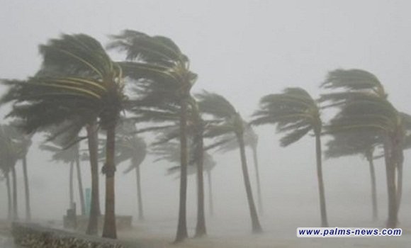 رياح تتجاوز سرعتها الـ 80 كم بالساعة تضرب العراق اليوم